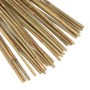 GOOD CHOICE FOR SALE VIETNAMESE 100% BAMBOO STICKS/ GREEN BAMBOO STICKS/ BAMBOO STICKS FOR SUPPORT PLANT AND GARDEN FROM ECO2GO