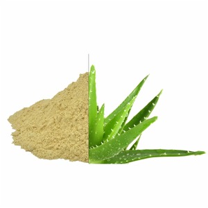 Alta qualidade Aloe Vera extrato pó cosmético e uso <span class=keywords><strong>medicinal</strong></span> perfeito para hidratação do fornecedor indiano