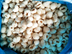 Litchi congelé Exportateur du Vietnam Litchi pelé IQF Qualité supérieure prêt pour usage culinaire et au détail - Product Image 2