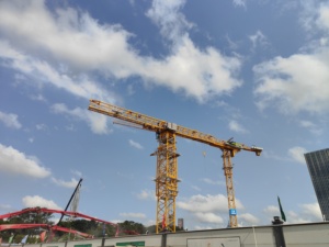 رافعة برجية حمولة <span class=keywords><strong>10</strong></span> طن TC6024 عالية الأداء <span class=keywords><strong>10</strong></span> طن علبة تروس محرك ديريك حالة جديدة ترس محامل PLC تحميل 6 طن - Product Image 3