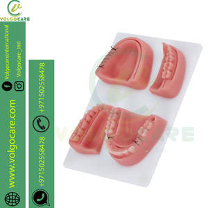 Kit de suture dentaire chirurgicale en acier inoxydable Forceps Gum Cutting Gingival Suture Practice Student Suture Dissection kit - Product Image 5