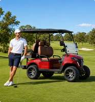 Voiturette de golf électrique 4 places certifiée CE UCB-12, qualité professionnelle, fiable, alimentée par batterie, buggy de tourisme, export