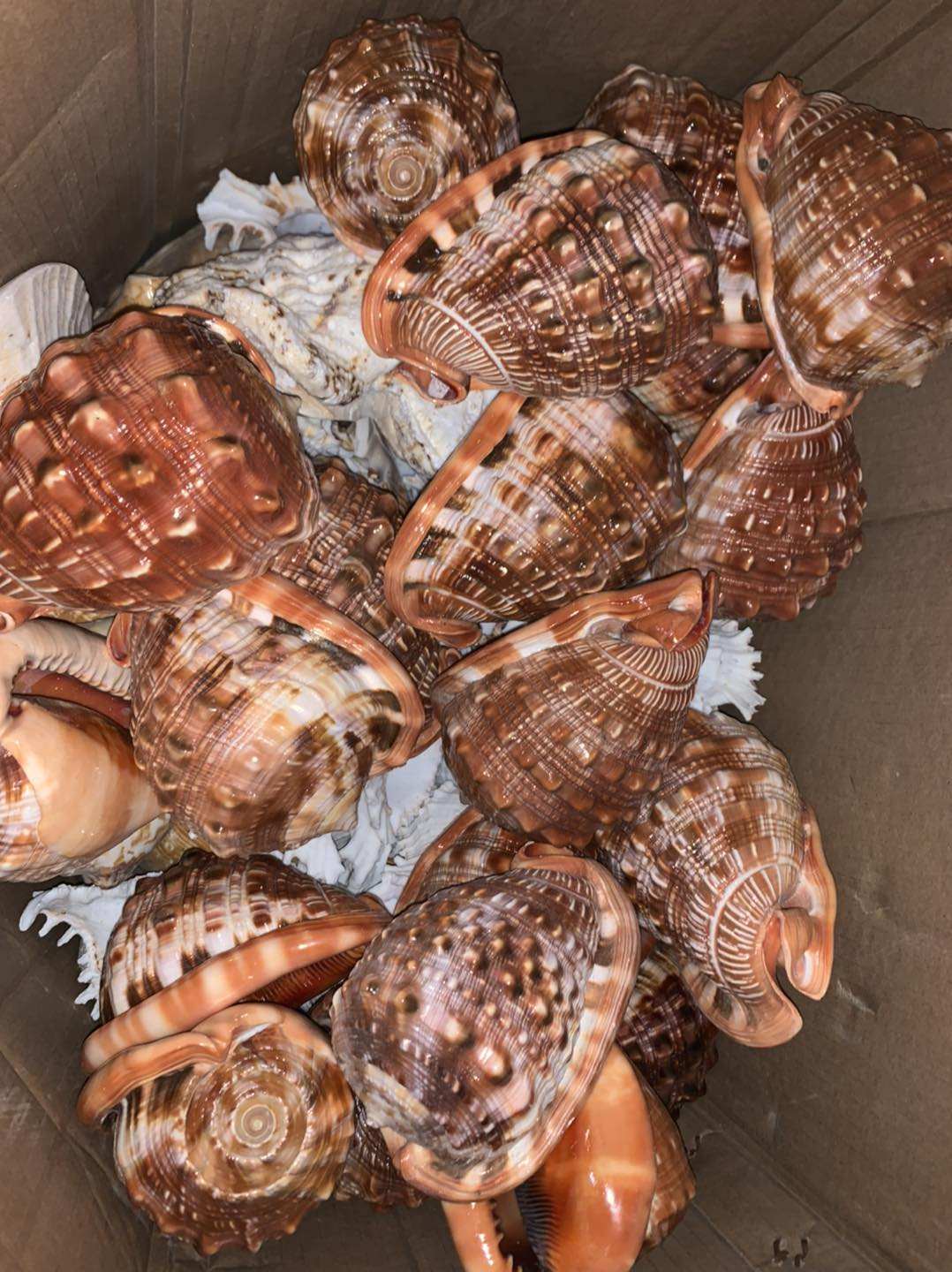 มณฑลเบอร์กันดี