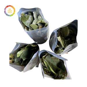 Feuilles de corossol séchées de haute qualité, vente en gros au Vietnam - Product Image 1