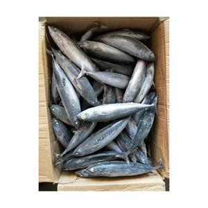 Venta al por mayor de pescado bonito congelado, suministro a granel, bajo precio, alta calidad, pescado de mar - Product Image 2
