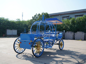 Carruaje de Calabaza Eléctrico con Toldo, Color Azul, para Paseos Turísticos al Aire Libre, Modelo Zhenda, Últimos Modelos - Product Image 5