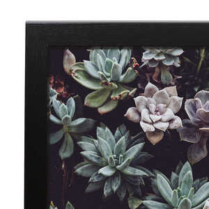 Marco Moderno para Póster Negro de 30.5 x 91.5 cm con Diseño de Plantas - Product Image 1
