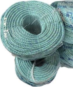 Cordes Telestra certifiées ISO et cordes bleu blanc 4mm 6mm 8mm 14mm 18mm 24mmr composées de raphia en nylon PP pour les marchés australiens - Product Image 5