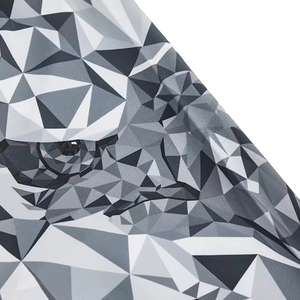 Rashguard de MMA de Manga Corta Personalizado al por Mayor, Transpirable, Ecológico, de Secado Rápido, de Poliéster, para BJJ, con Diseño Personalizado - Product Image 6