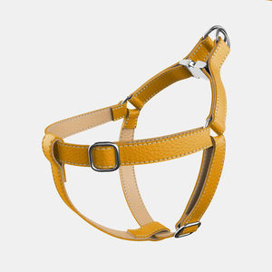 สายจูงสุนัขทำด้วยมือทำจากหนังพร้อมอุปกรณ์เสริมทองเหลืองทองแท็กสุนัขแบบออกแบบได้ตามต้องการ Wds-0031 - Product Image 2