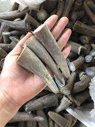 ปลายเขาควายแท้ 100% เป็นมิตรกับสิ่งแวดล้อม คุณภาพสูง ทำด้วยมือ ขนาดสั่งทำได้ ดีไซน์ทันสมัย สำหรับตกแต่งงานแต่งงานและวันหยุด - Product Image 2