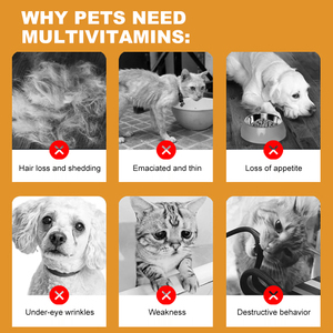 فيتامينات متعددة للحيوانات الأليفة عالية التقييم تدعم صحة الجلد وتحسن الصحة العامة تحتوي على 12 فيتامين مكملات غذائية للحيوانات الأليفة - Product Image 2