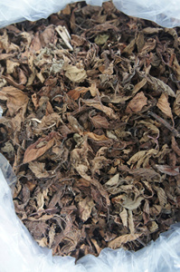 Cincau Hitam cincau เยลลี่หญ้าสีดำเจลลี่ใบสมุนไพรขนมหญ้าสดเจลลี่สำหรับของหวานหรือเครื่องดื่ม - Product Image 6