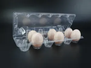 Récipient en plastique pour oeufs, plateau pour 12 oeufs