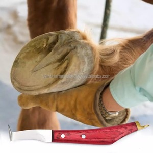 Sambrialmed International Left-Handed J2 Stainless Steel Blade Wooden Handle Hoof Knife Veterinary Instrument for Horse Cow Hoof - Product Image 5