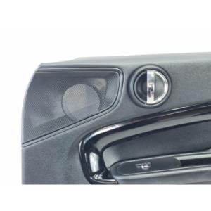 Pannello Interno Porta Anteriore Destra MINI Countryman S 16631410 (16>) - Product Image 6