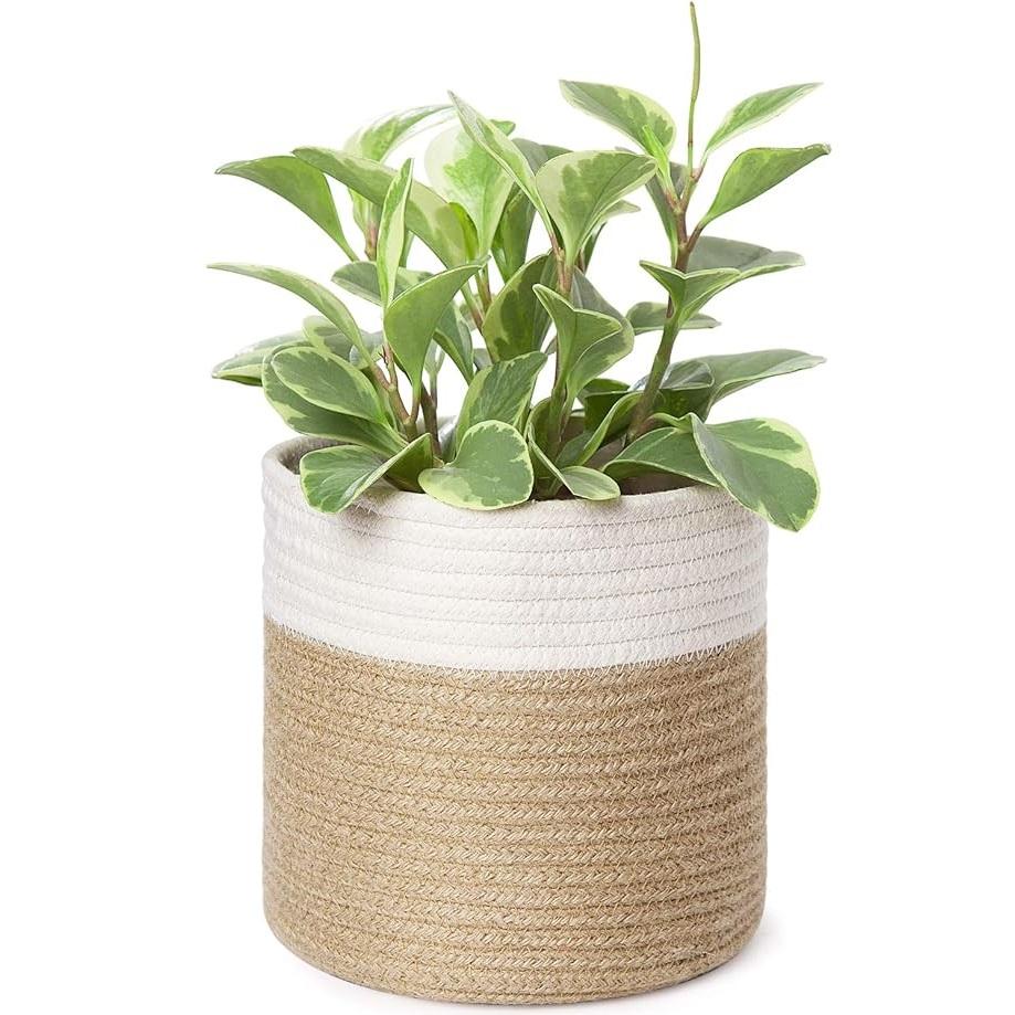 ตามที่แสดง