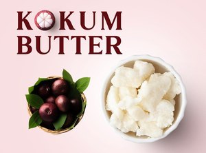 Mantequilla Kokum de calidad superior para el cuidado de la piel y el cuerpo utilizada cosméticamente en lociones El mejor fabricante exportador indio - Product Image 5