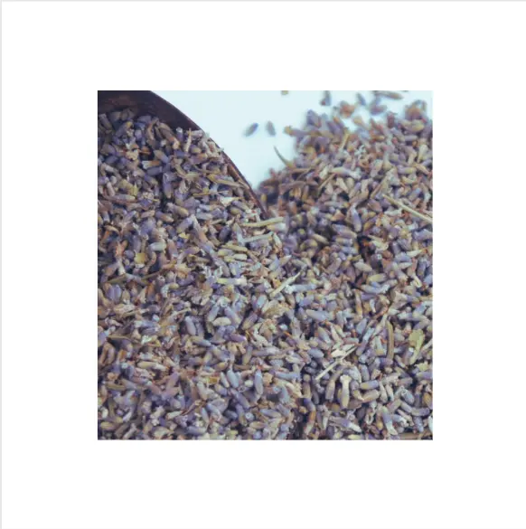 Lavender herbs - Dried Lavender Buds Branch 99 Gold Data