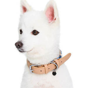 Collier pour chien en cuir avec boucle sécurisée, réglable et confortable, pour une utilisation en intérieur et en extérieur - Product Image 3