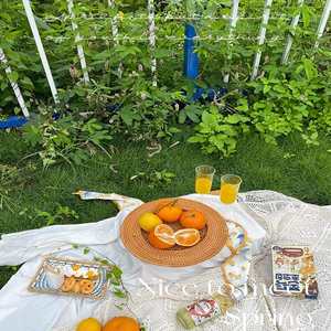 Woven <b>Placemats</b> Top Shopping <b>Rattan</b> Charger Plates Everyday Use Dinner Table <b>Rattan</b> Dinnerware <b>Placemats</b> - Product Image 2