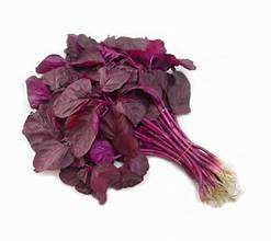 HOJAS DE AMARILLO VERDE CONGELADAS ETIQUETA LIMPIA A BASE DE PLANTAS PURAS NATURALES APOYO A LA SALUD INMUNE SUPERALIMENTO - Product Image 6