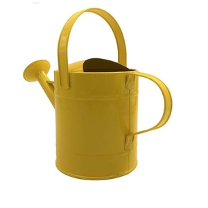 Regadera Metálica de Calidad Superior, Estilo Moderno, Acabado Antiguo, para Uso Diario en Jardín, Hogar y Hotel - Product Image 2