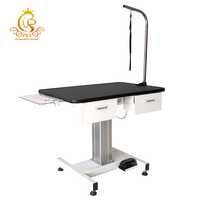 Table de toilettage pour chien électrique en acier inoxydable EUR PET, portable, réglable en hauteur, équipement vétérinaire avec tiroirs