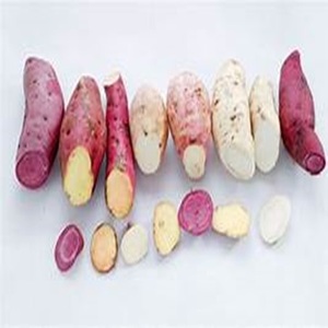 Variedades mixtas de batata rica en nutrientes disponibles a precios razonables - Product Image 2