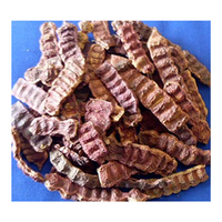 Herbojit International 100% Zuiver Natuurlijk Super Kwaliteit Beste Graad Shikakai Kruidenextract Meest Verkochte Product tegen Gereduceerde Prijs