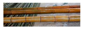 Venta al por mayor para poste de bambú natural poste de bambú redondo barato/caña de bambú de Vietnam para la exportación - Product Image 4