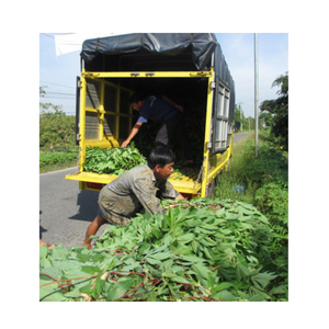 Feuille de manioc congelée authentique pour la cuisine à la maison et au restaurant Pratique et prêt à l'emploi - Product Image 1
