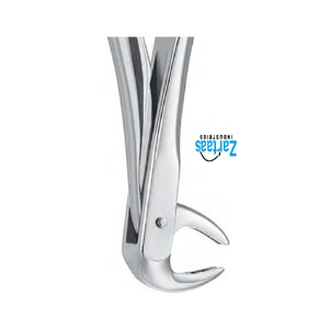 Fórceps extractores de acero inoxidable de alta calidad raíces inferiores fig. 75 exportadores y fabricante - Product Image 2