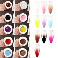 Gel de dégradé pour nail art à haute pigmentation en gros, boîte de 1 g, gel de peinture ombrée pour salon de manucure