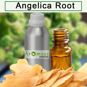 รับชุดน้ำมันหอมระเหยรากไม้แองเจลิกาแท้พร้อมบริการจัดส่งฟรีน้ำมันหอมระเหยบริสุทธิ์100% ที่หลากหลายราคาดีที่สุด - Product Image 3