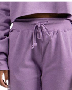 Sudadera con capucha recortada de manga larga para mujer, sudaderas con capucha de lana de algodón morado, sudadera para mujer con cordón, ropa de abrigo, ropa de gimnasio OEM - Product Image 3