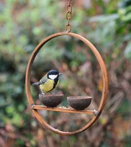 Comedero para pájaros colgante de jardín, anillo redondo de Metal rústico, soporte de alimentación para pájaros, accesorios fáciles para colgar al aire libre, soporte para pájaros salvajes - Product Image 2