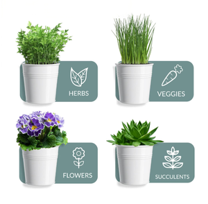 Lot <span class=keywords><strong>de</strong></span> 3 jardinières d'herbes en métal avec plateau, pots <span class=keywords><strong>de</strong></span> jardin d'herbes d'intérieur <span class=keywords><strong>pour</strong></span> <span class=keywords><strong>rebord</strong></span> <span class=keywords><strong>de</strong></span> fenêtre <span class=keywords><strong>de</strong></span> cuisine, pots <span class=keywords><strong>de</strong></span> fleurs en étain blanc avec poignées - Product Image 4