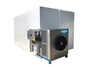 Energy Efficient Fruit And Vegetable Drying Machine Fruit Dehydrator Banana Chips Machine