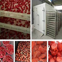 Séchoir à légumes à pompe à chaleur pour la protection de l'environnement Déshydrateur de raisins secs commercial Machine de séchage des aliments pour nouilles