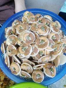 เค้กเหรียญแสนอร่อยผสมกับถั่วขนมขบเคี้ยวหวานและเผ็ดเหมาะสำหรับเวลาพักดื่มกาแฟและกัดอย่างรวดเร็วหวงแหนดอกบัวสีน้ำเงิน - Product Image 6