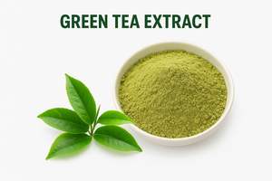 Extracto de Té Verde - Product Image 2