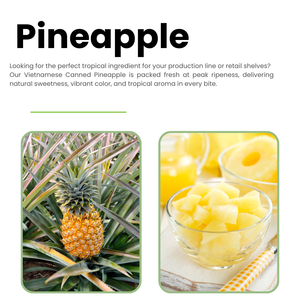 Piña congelada IQF de alta calidad de Vietnam en embalaje a granel - Product Image 5