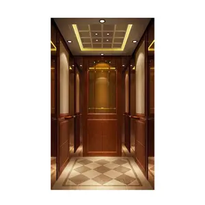 320KG piccolo ascensore casa 2 piano casa ascensore FUJI ascensore prezzo a buon mercato con buona qualità per uso interno ed esterno