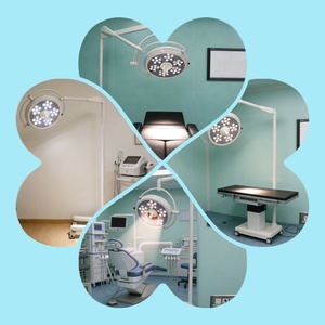 Lampes chirurgicales LED mobiles à prix abordable 2026 pour salle d'opération, examen ORL, dentaire et clinique vétérinaire - Product Image 5