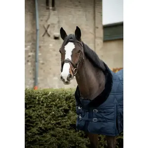 Couverture de cheval imperméable classique tapis d'hiver respirant feuille stable couverture d'équitation en plein air chaud confortable Durable coton équin - Product Image 2