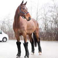 Bottes de voyage pour chevaux Costa Sports, best-seller, logo personnalisé, couleur personnalisée, matériau en mesh Codura premium, taille personnalisée