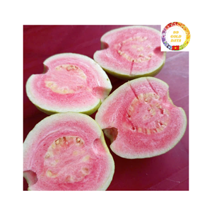 ฝรั่งสีชมพูเขตร้อนแช่แข็งจากเวียดนามที่ปลูกโดยไม่มีสารเคมีเหมาะสำหรับการส่งออกและใช้เป็นจำนวนมาก - Product Image 2