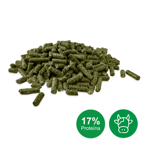 Vica Delicias Pellet di Erba Medica 100% Naturale, 17% Proteine Grezze, Senza Polvere, Proteine di Grado Alimentare per Bovini da Latte, Cavalli, Pollame, 25kg - Product Image 2