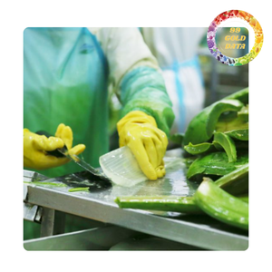 ก้อนว่านหางจระเข้ | สีโปร่งแสงและรสชาติที่เป็นกลาง | การใช้งานอาหารที่กว้าง - Product Image 2